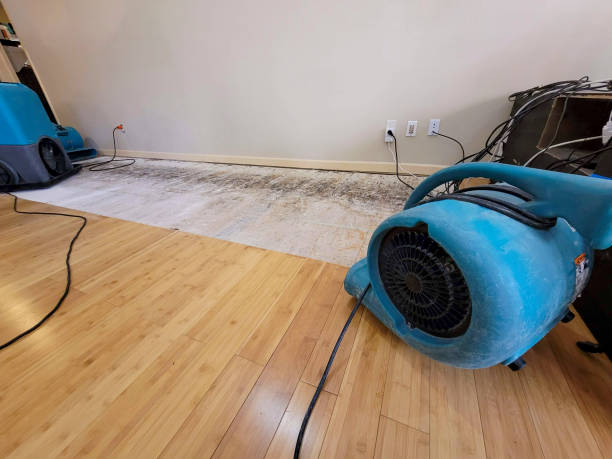 Reliable Basement Flood Cleanup contractor in Clare, MI by Hirex Water Damage