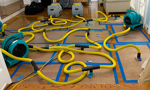 Professional Basement Flood Cleanup technician working in Clare, MI